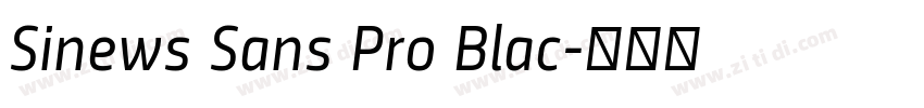 Sinews Sans Pro Blac字体转换